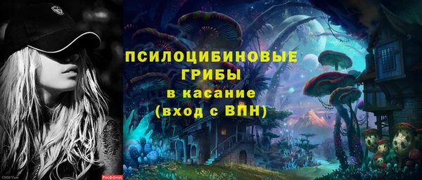 сатива Вязьма