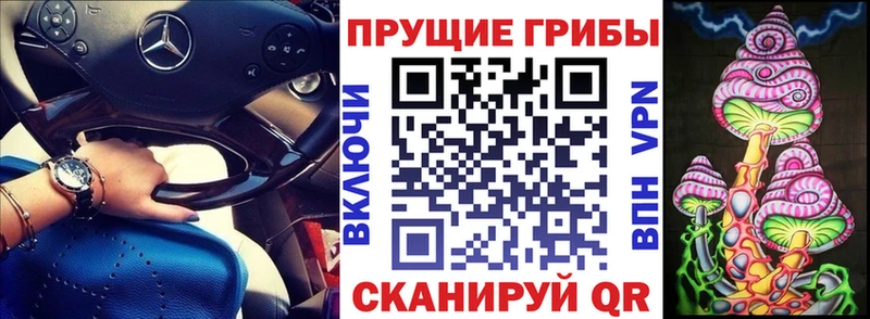 Купить  Дмитриев  Псилоцибиновые грибы GOLDEN TEACHER 